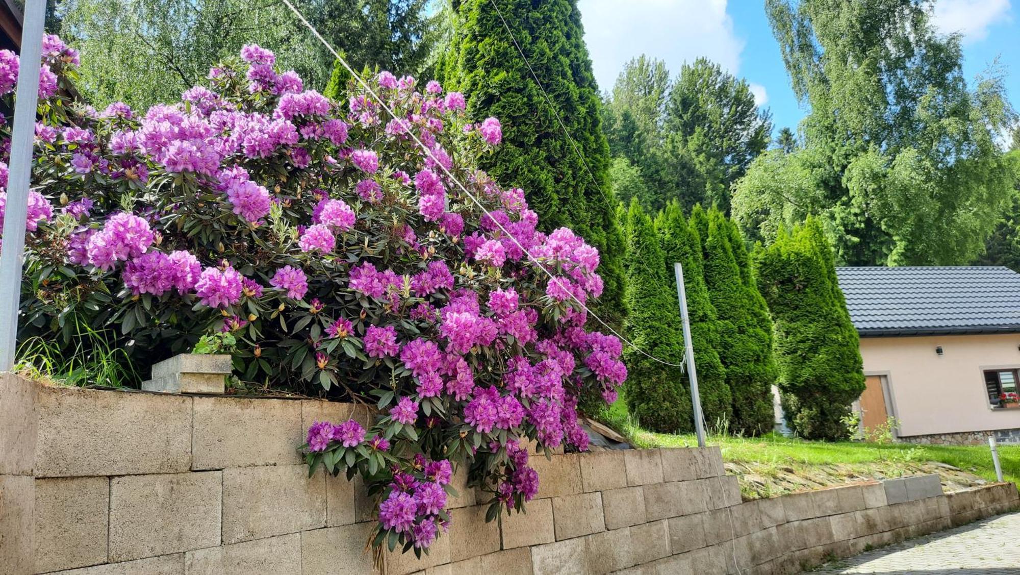 Pokoje U Juroszka Istebna Extérieur photo